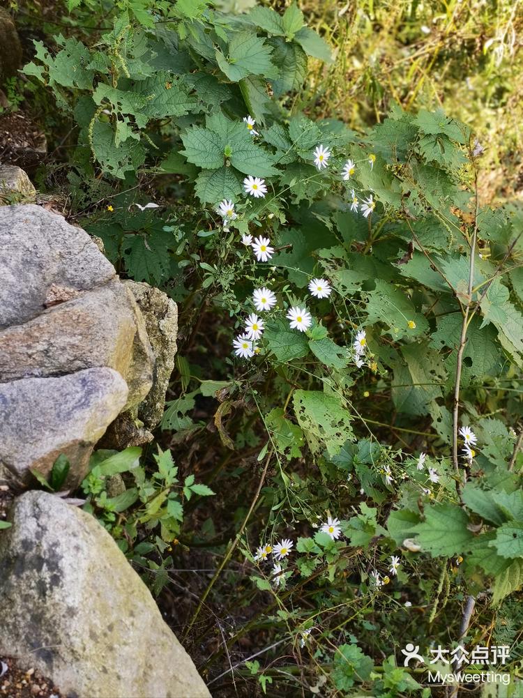 李家石屋-大众点评