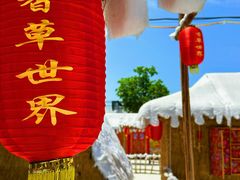 -广东花都香草世界旅游度假区