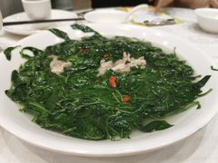 -鹅城