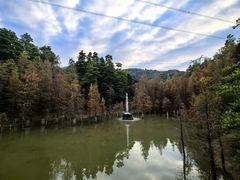 -广州市帽峰山景区