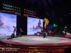 -中国马镇舞马世界主题乐园