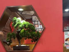 -洞庭家宴·头牌甲鱼(广渠门店)