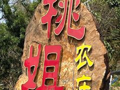 门面-桃姐农庄老字号(从化温泉店)