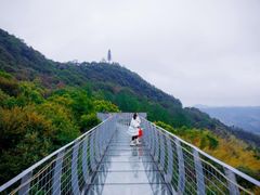 -大余丫山旅游度假区