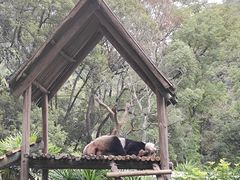 -柳州市动物园