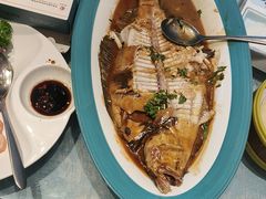 -海派美食·家宴海鲜青岛菜·石锅鲽鱼头(东方城店)