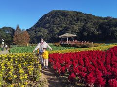 -广州市石门国家森林公园