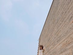 -盘龙城国家考古遗址公园