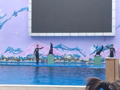 -北戴河圣蓝海洋公园
