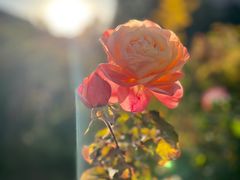 -张掖大佛寺景区