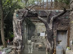 -贵州森林野生动物园