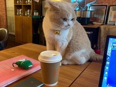 -UN CAFFE(五角场店)