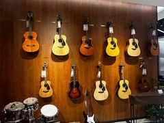 -知音艺术教育培训·钢琴培训·音乐培训(河西金鹰世界校区)