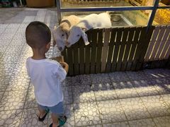 -上海大自然野生昆虫馆(东方明珠·爬宠昆虫探索中心)