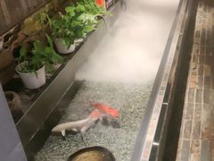 -0776食堂·京城创意菜(七里庄店)