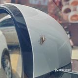 人均30多块钱就能吃饱，性价比超高。推荐，大家冲冲冲！