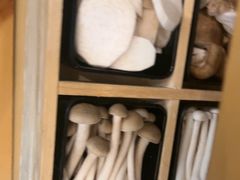 -烹然四季椰子鸡火锅(姚家园万象汇店)