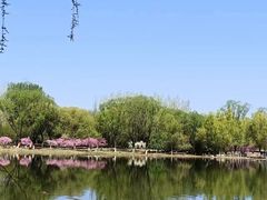 -北京奥林匹克公园