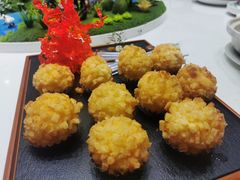 -丁老爷子苏香圆