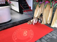 -咕噜咕噜·章鱼小丸子(广州荔湾领展广场店)