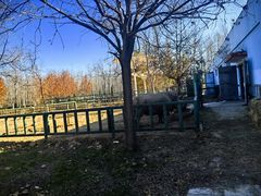-秦皇岛野生动物园