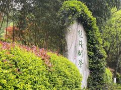 -十八棵（老龙井）御茶园(老龙井店)