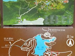 -深圳仙湖植物园
