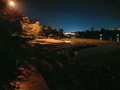 -洛龙公园