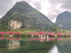 -靖西鹅泉风景区