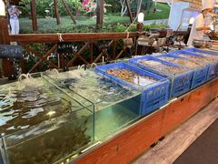 -渔家火锅·海鲜自助餐·演艺(亚龙湾天域酒店)
