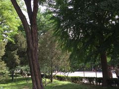 -玲珑塔公园