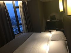-成都峨眉雪芽大酒店