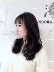 -潘多拉Hairsalon