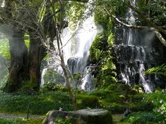 -Chom Cafe and Restaurant