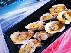 生蚝-路边摊小炉子烧烤