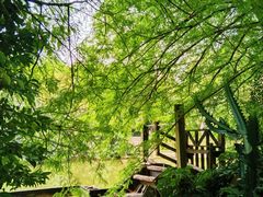 -深圳国际园林花卉博览园