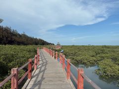 -北海金海湾红树林生态旅游区