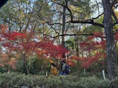 -北山街历史文化街区