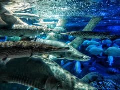 -成都浩海立方海洋公园