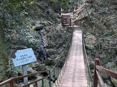 -波尔登森林公园