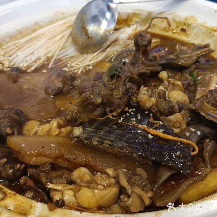 湖北特色荆州甲鱼