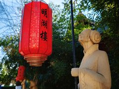 -明湖楼·经典鲁菜(大明湖店)