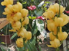 -国家植物园南园