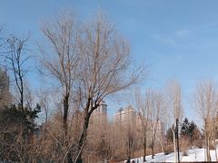 -群力丁香公园