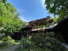 -十八棵（老龙井）御茶园(老龙井店)