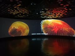 -同济大学四平路校区深海探索馆