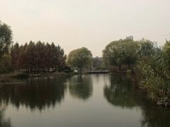 -郑州植物园