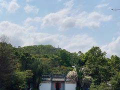 -深圳国际园林花卉博览园