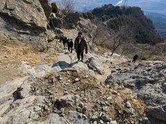 -北京鹫峰国家森林公园