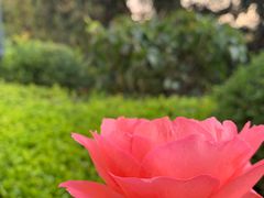 -青岛德国总督楼旧址博物馆